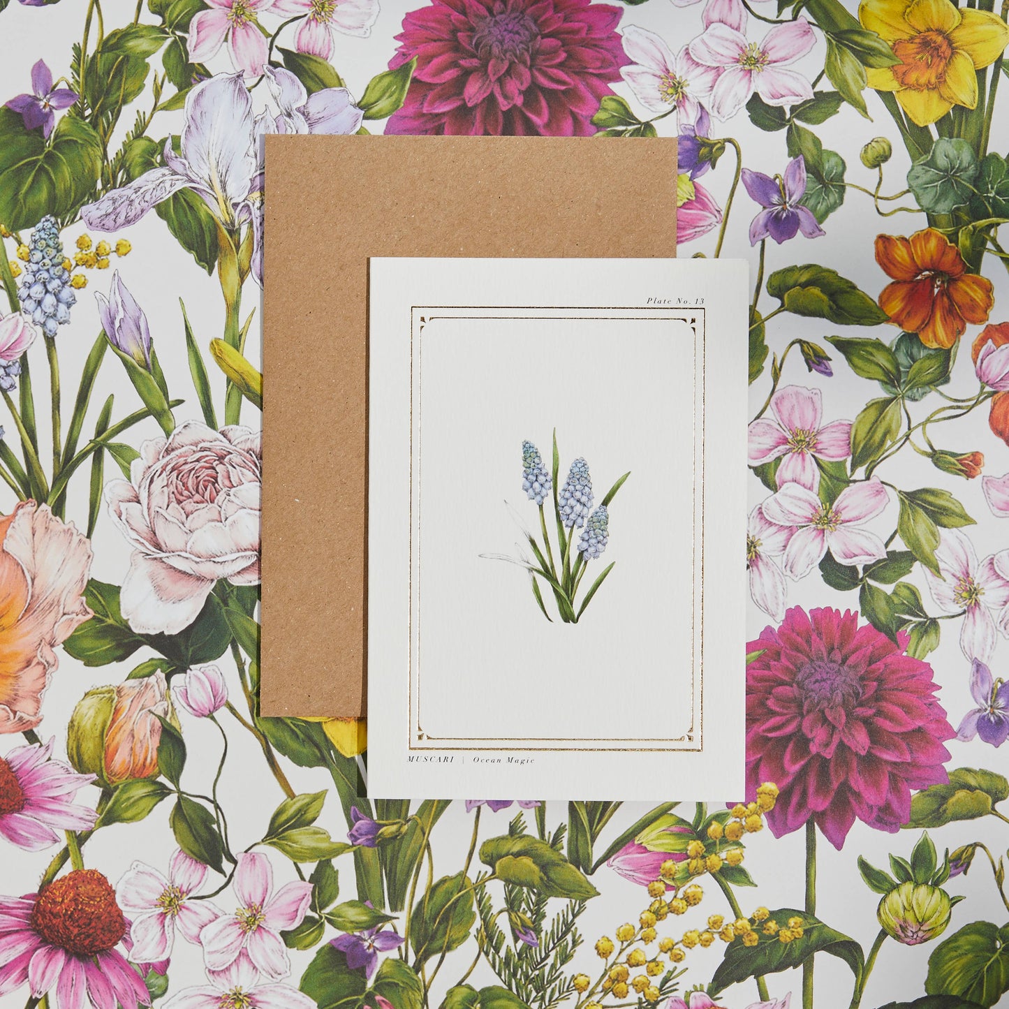 Muscari Botanical Art Card