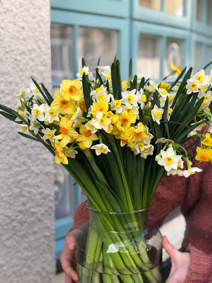 An Armful of Scented Narcissi