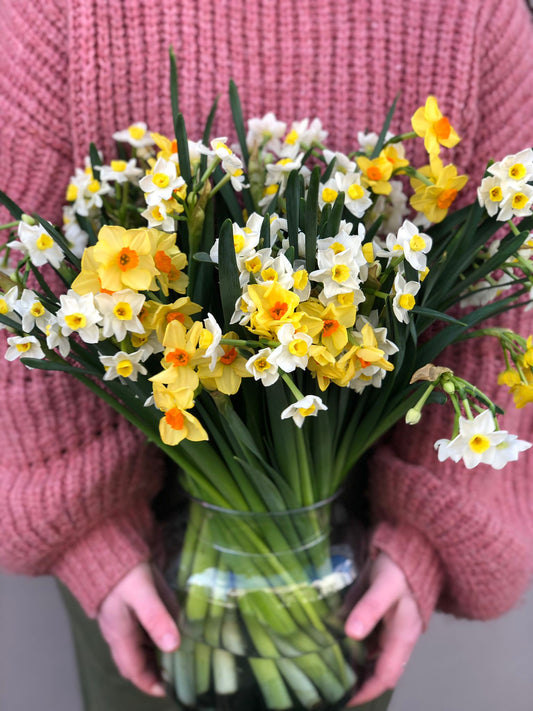 An Armful of Scented Narcissi