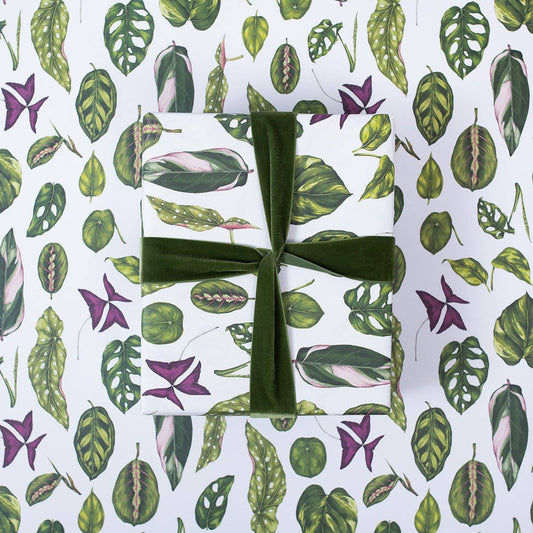 Houseplants Botanical Gift Wrap