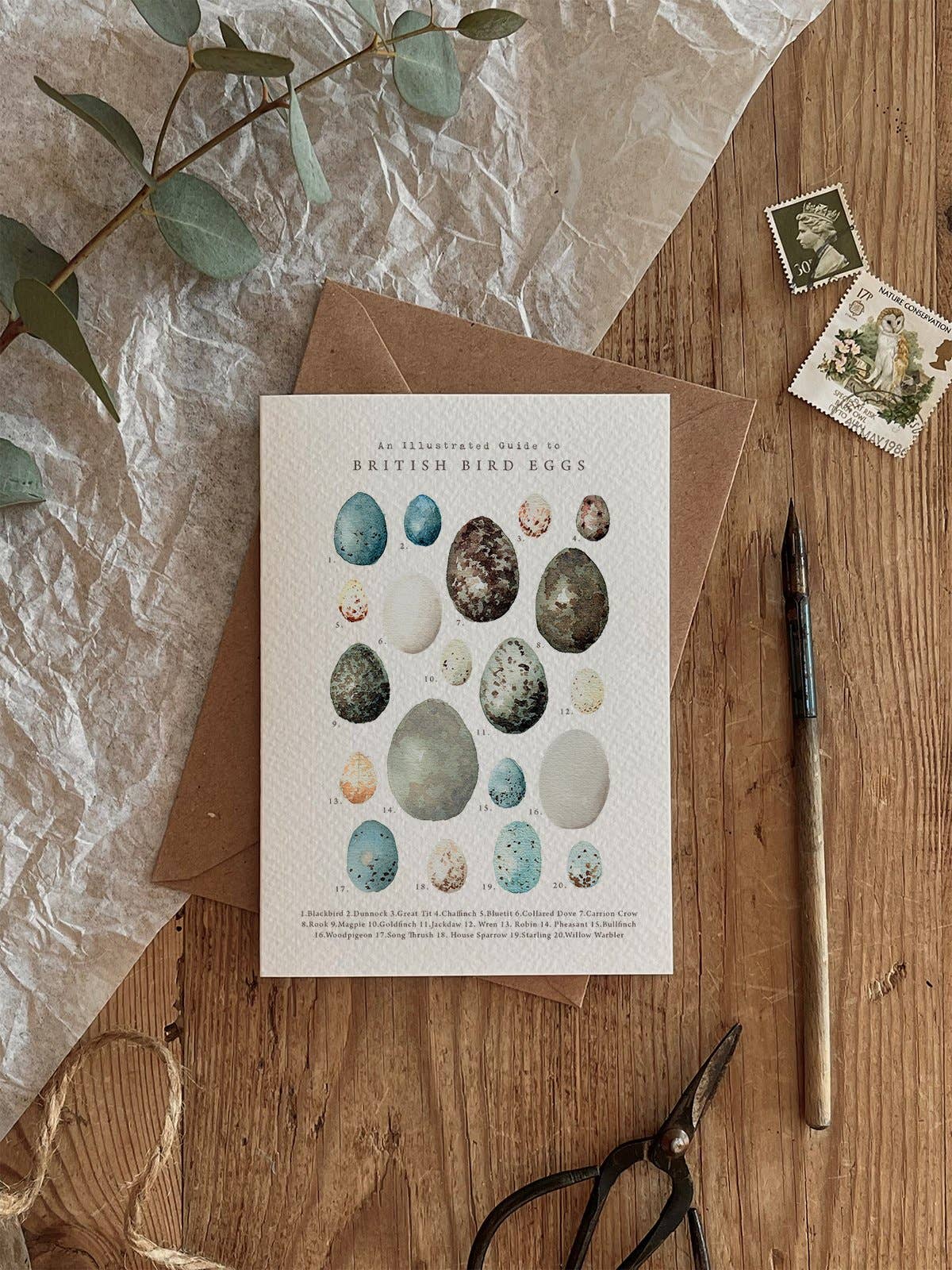 British Bird Eggs Card