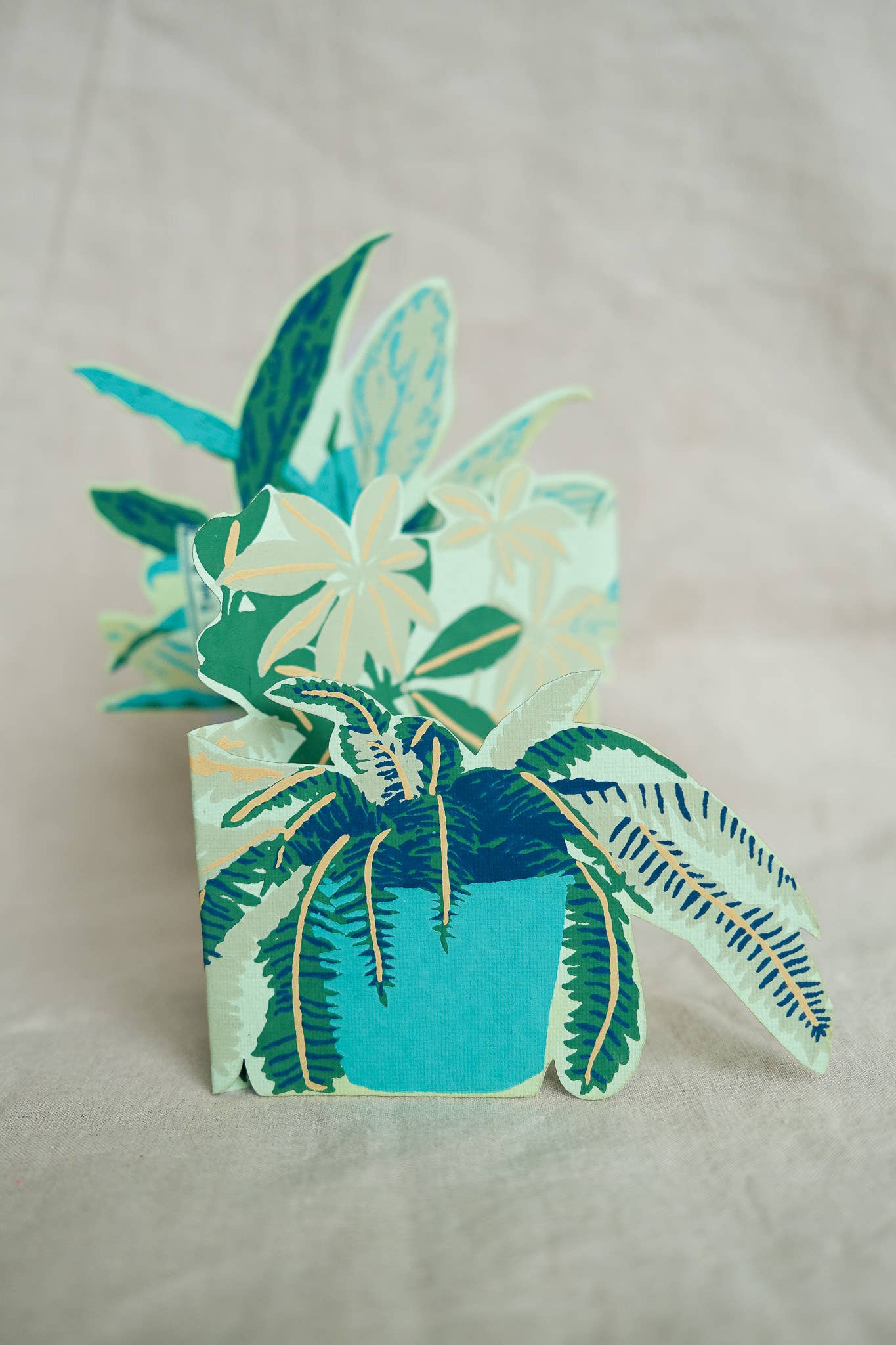 Houseplants Concertina Greeting Card