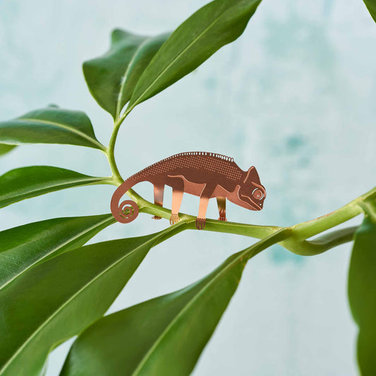 Chameleon House Plant Animal Decoration - Copper