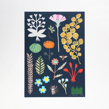 Botanical Elements Print