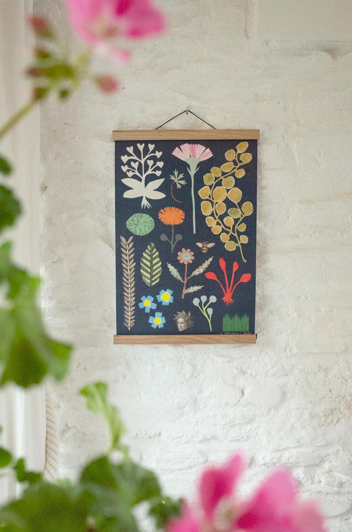 Botanical Elements Print