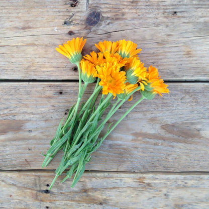 Piccolo Flower Seeds - Calendula