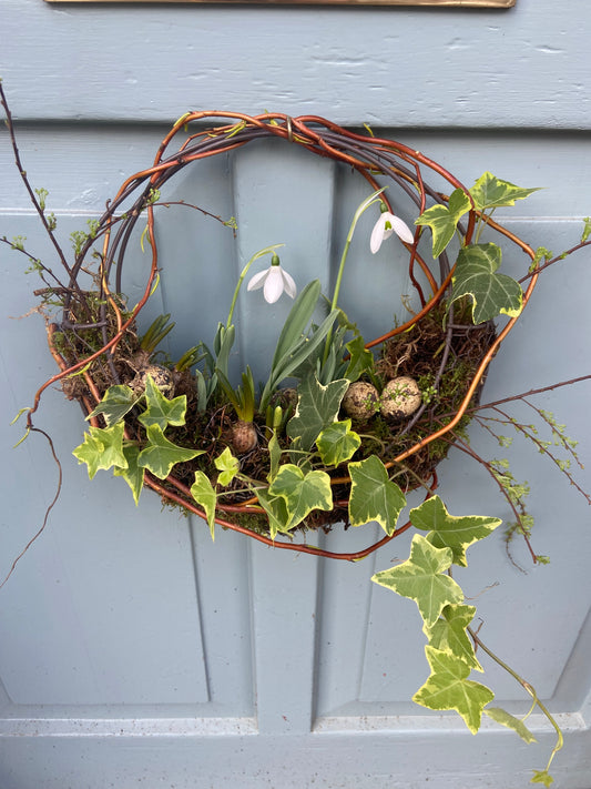 Wild Snowdrop Door Wreath