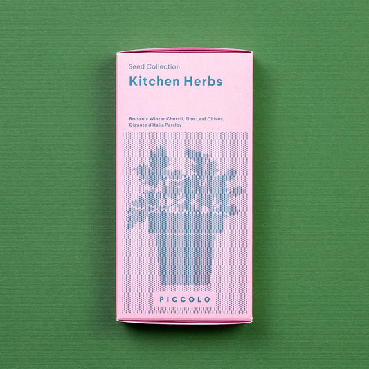 Piccolo Seeds Gift Box - Kitchen Herbs