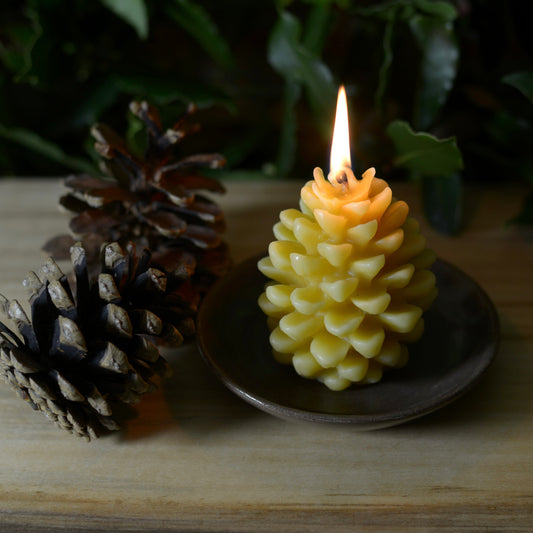 Beeswax Alchemy Pinecone Candles