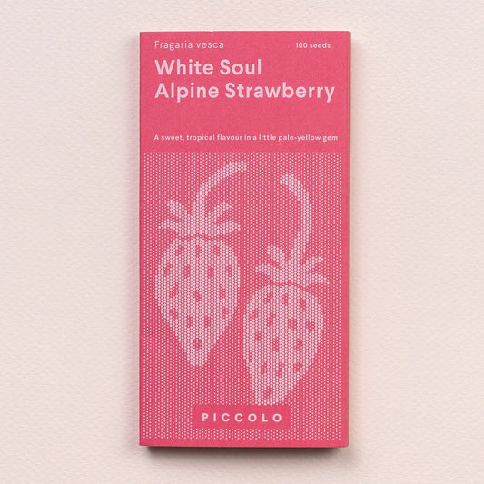 Piccolo Seeds - Strawberry Alpine White