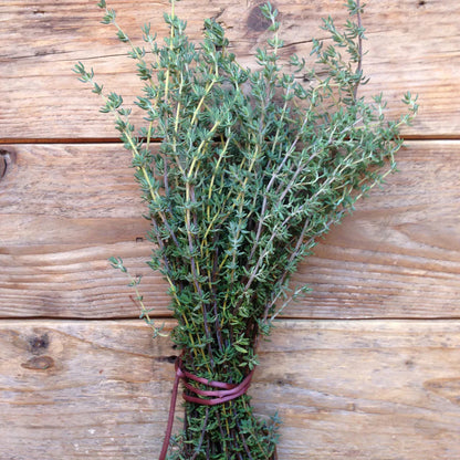 Piccolo Seeds - Thyme De Provence