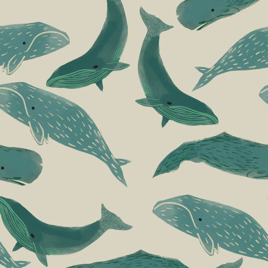 Whale Gift Wrap