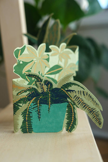 Houseplants Concertina Greeting Card