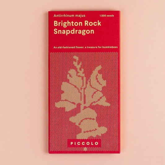 Piccolo Seeds - Snapdragon Brighton Rock